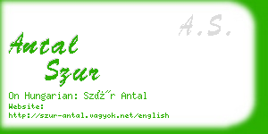 antal szur business card